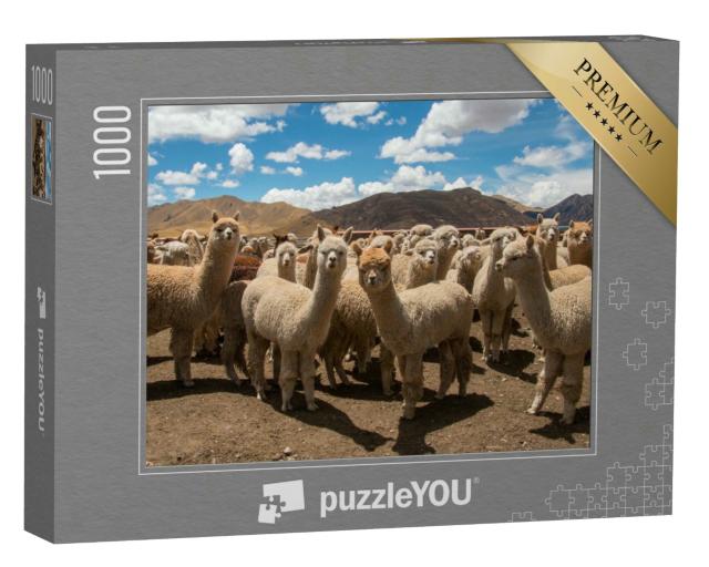 Puzzle 1000 Teile „Weidende Alpakas nahe Cusco, Anden, Peru“