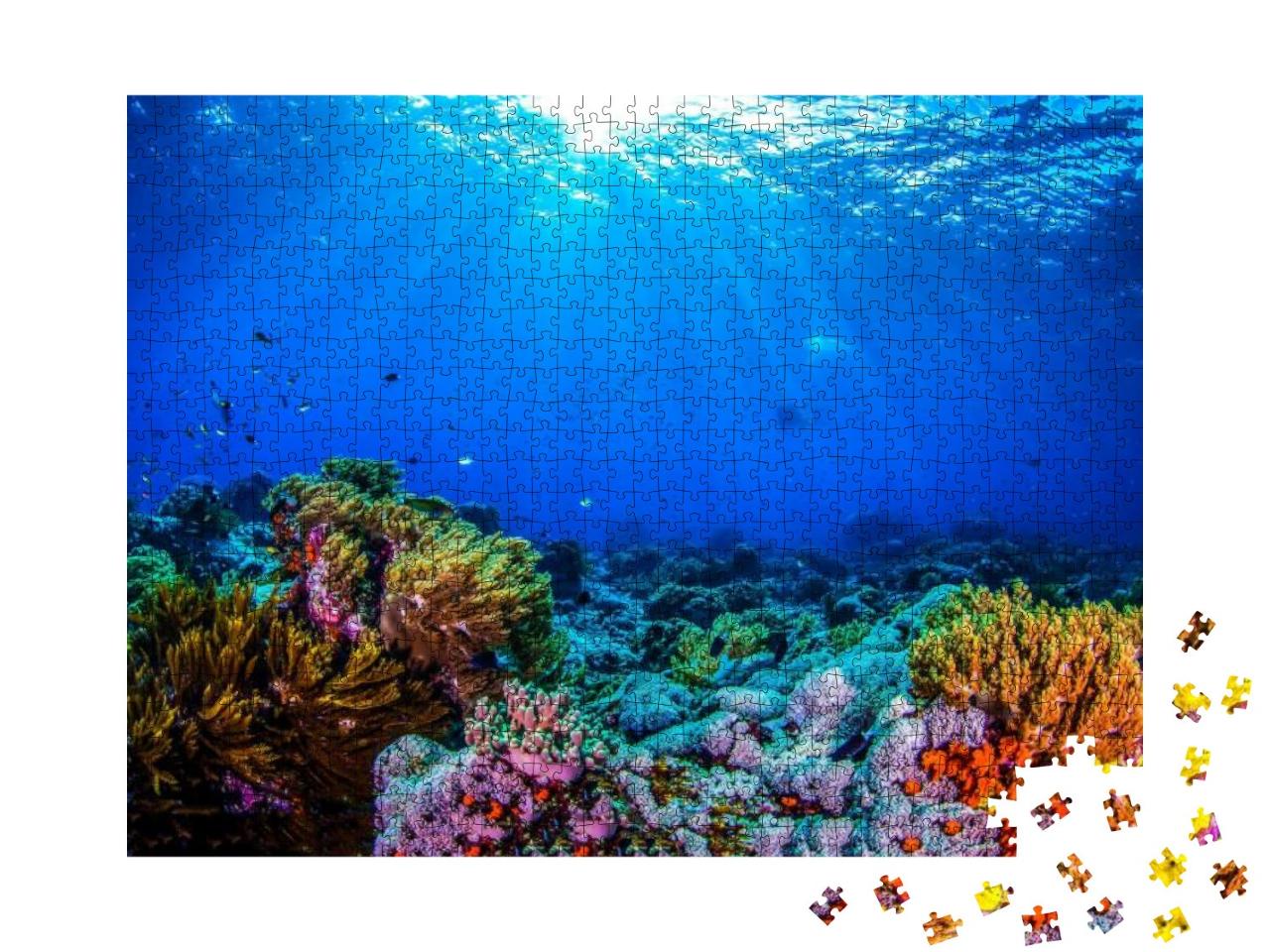 Puzzle 1000 Teile „Wunderschönes Korallenriff“