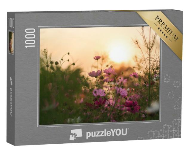 Puzzle 1000 Teile „Blühende Cosmea im Abendlicht“