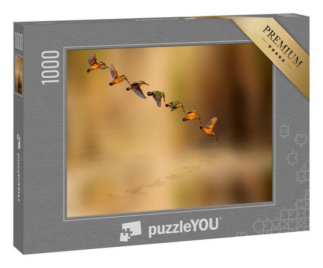 Puzzle 1000 Teile „Tauchender Eisvogel“
