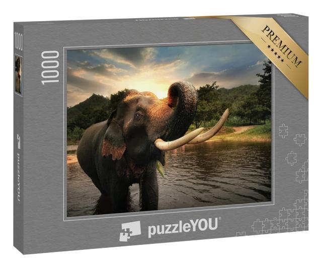 Puzzle 1000 Teile „Wilder Elefant, Provinz Kanchanabur, Thailand“