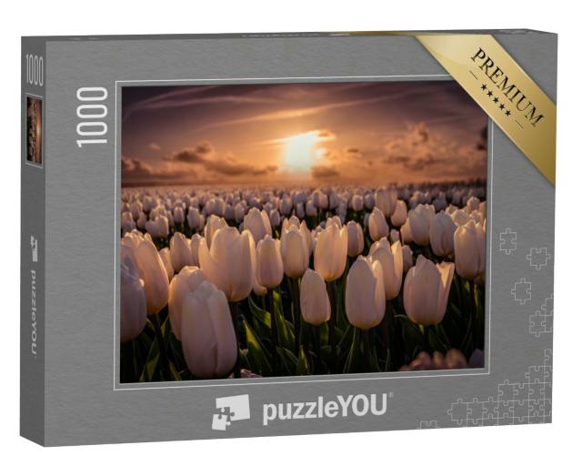 Puzzle 1000 Teile „Sonnenuntergang auf dem Tulpenfeld Noordoostpolder in den Niederlanden“