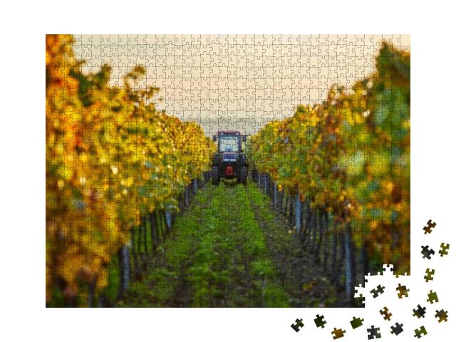 Puzzle 1000 Teile „Herbstliche Reihen von Weinreben mit einem Traktor“