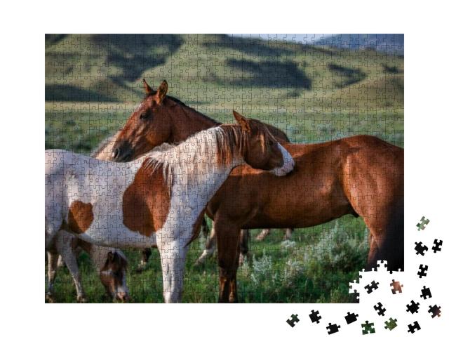 Puzzle 1000 Teile „Freunde: Paintpony und Ranch-Pferd, Montana, USA“