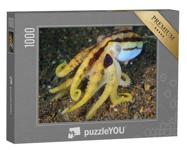 Puzzle 1000 Teile „Giftiger gelber Oktopus auf dem Meeresboden, Steine“