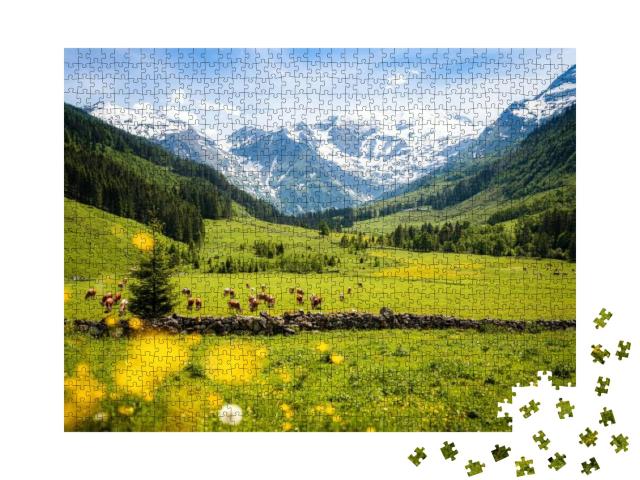 Puzzle 1000 Teile „Panoramablick auf ländliche alpine Landschaft mit Kühen, Nationalpark Hohe Tauern“