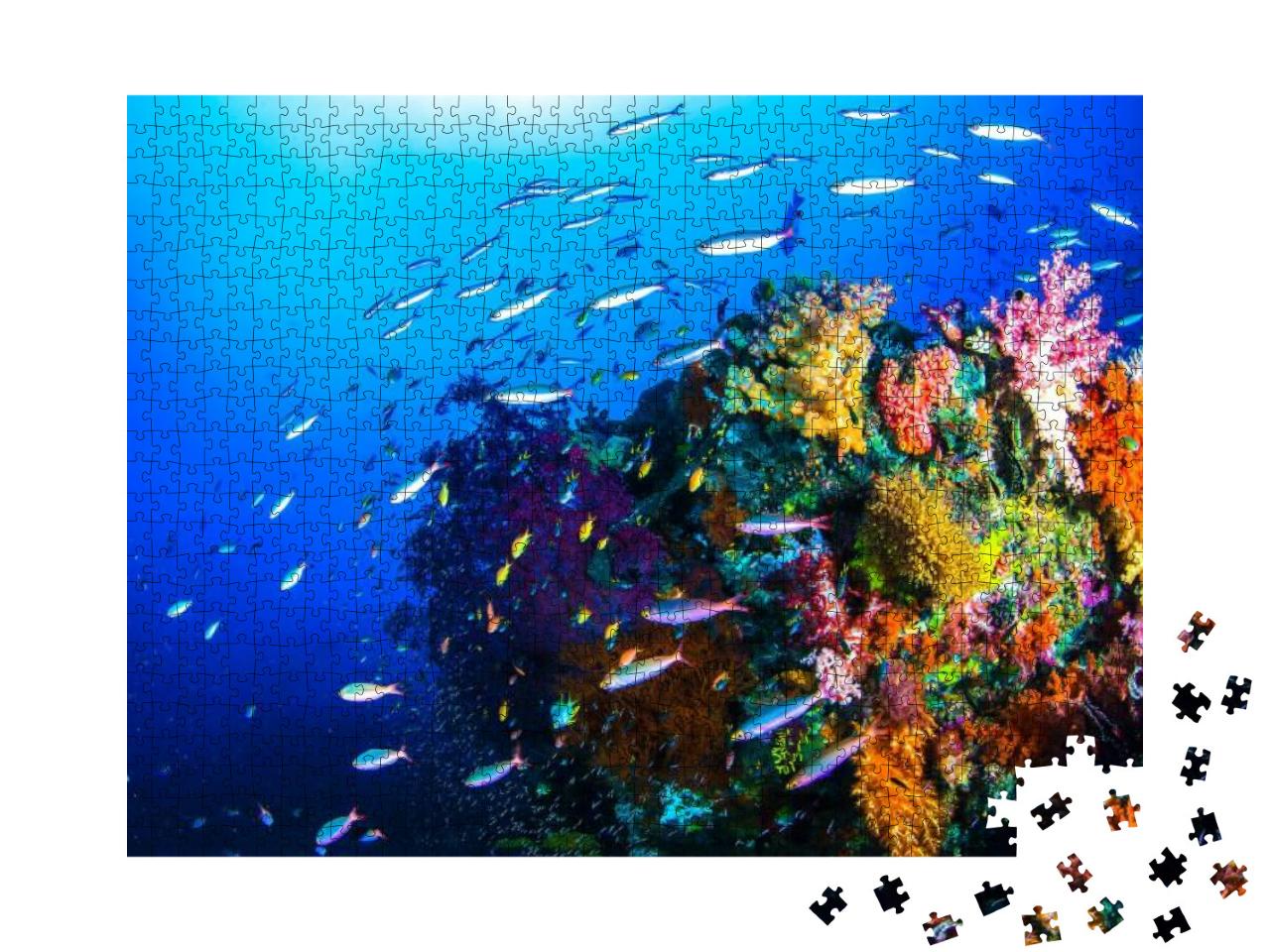 Puzzle 1000 Teile „Wunderschöne Unterwasserwelt: Kleine Fische umschwimmen ein Korallenriff“