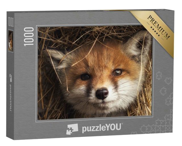 Puzzle 1000 Teile „Nahaufnahme: Fuchswelpe im Heu“