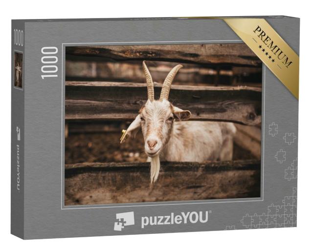 Puzzle 1000 Teile „Schöne helle Ziege, die auf dem Bauernhof lebt, Zaun aus Holz“