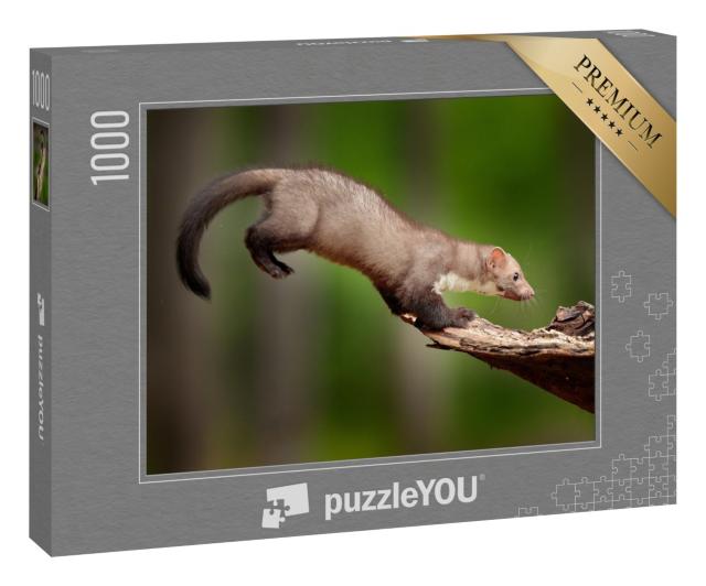 Puzzle 1000 Teile „Genaue Landung: Springender Baummarder, auch bekannt als Steinmarder“