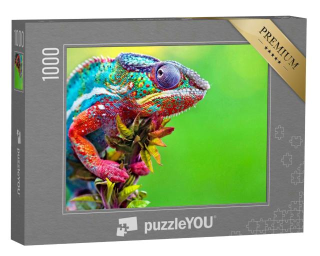 Puzzle 1000 Teile „Wildes Chamäleon: Reptil mit schönen Farben“