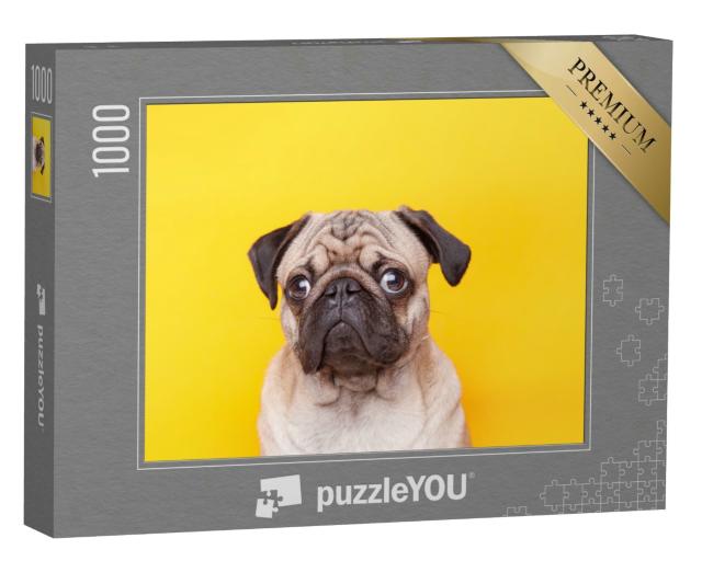 Puzzle 1000 Teile „Porträt: Mops mit Silberblick und liebenswertem Gesicht“