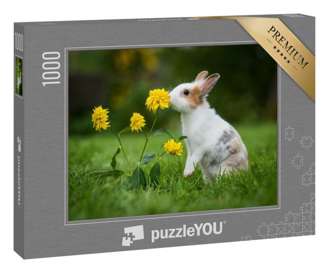 Puzzle 1000 Teile „Kleines neugieriges Kaninchen“