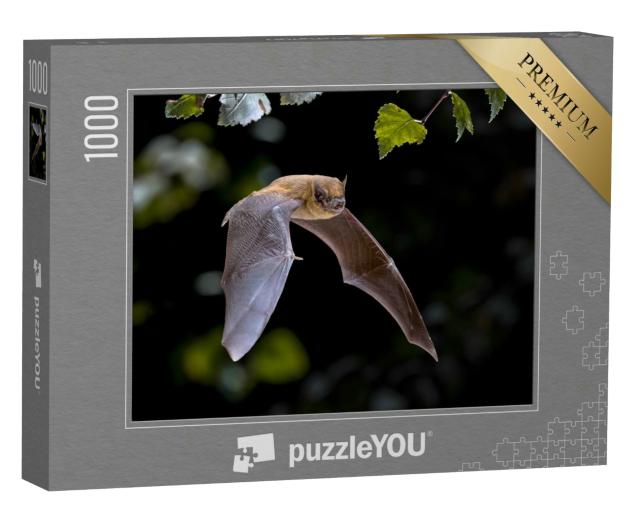 Puzzle 1000 Teile „Pipistrelle Fledermaus beim Flug durch den Wald“