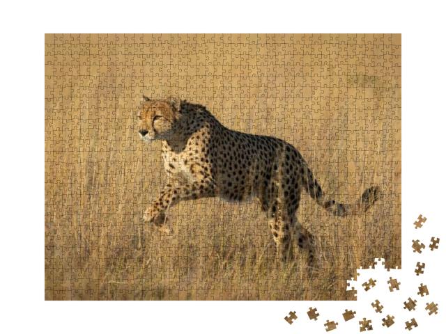 Puzzle 1000 Teile „Studie eines springenden Geparden in Savuti, Botswana“