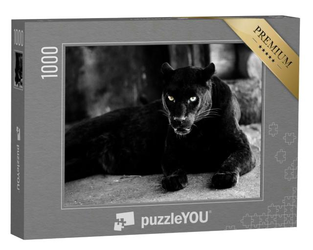 Puzzle 1000 Teile „Schöner schwarzer Panther: eine Großkatze“