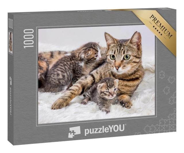 Puzzle 1000 Teile „Katzenmutter und Katzenbaby, Kitten“