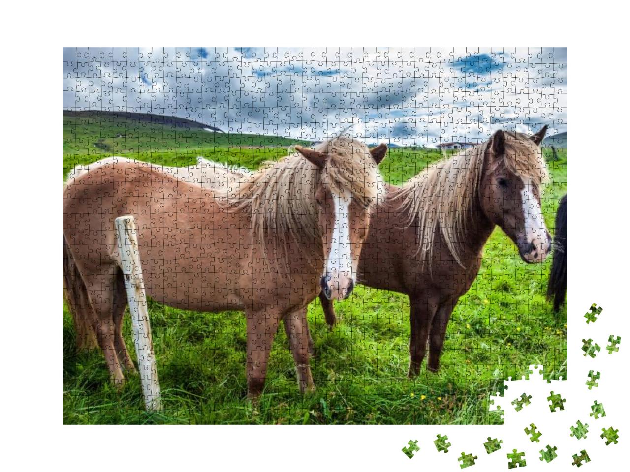 Puzzle 1000 Teile „Island-Pferde in der isländischen Tundra“