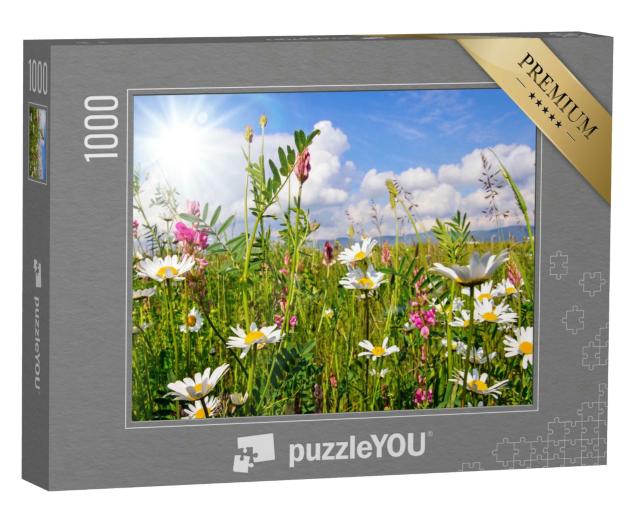 Puzzle 1000 Teile „Blumenwiese im Sommer mit hellen Gänseblümchen“