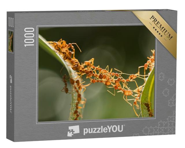Puzzle 1000 Teile „Ameisen-Brücken-Einheitsteam“