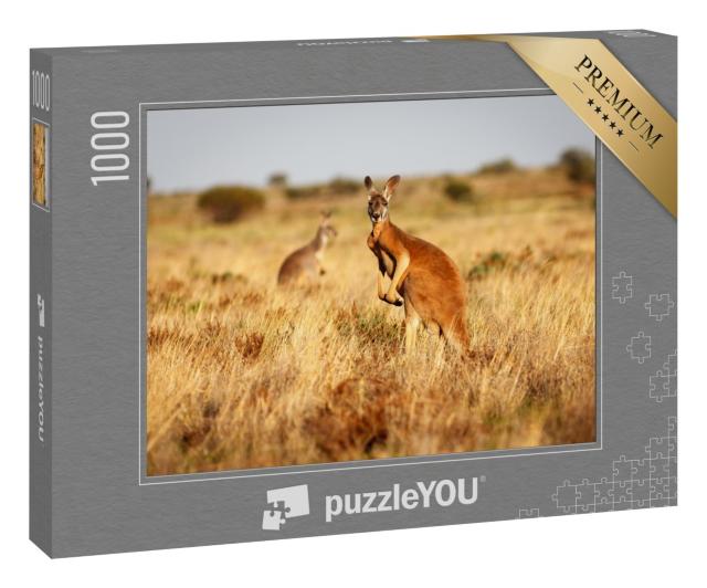 Puzzle 1000 Teile „Rotes Känguru im Grasland des australischen Outbacks“