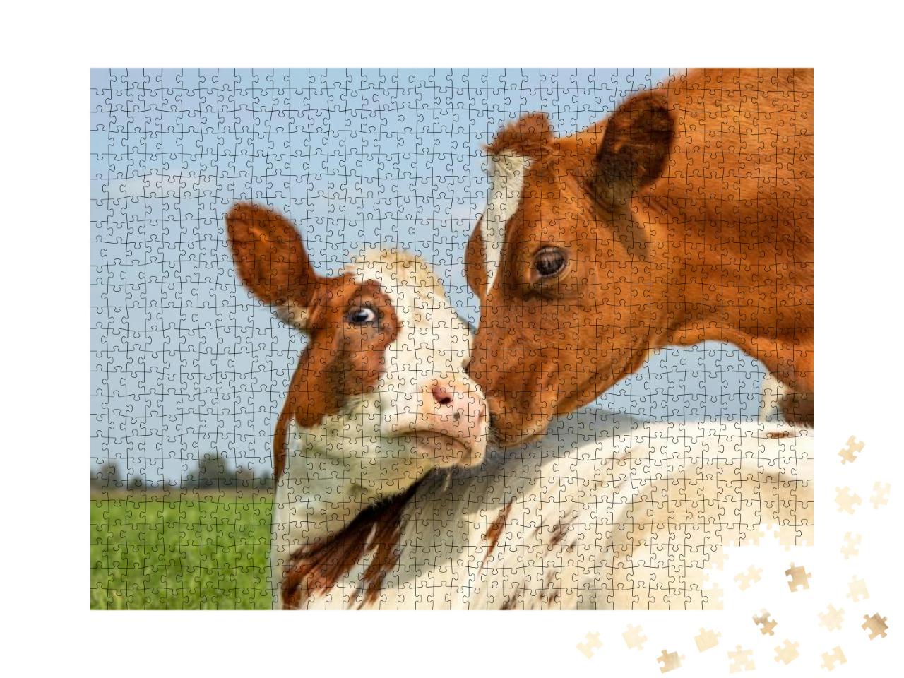 Puzzle 1000 Teile „Kuh und Kälbchen“