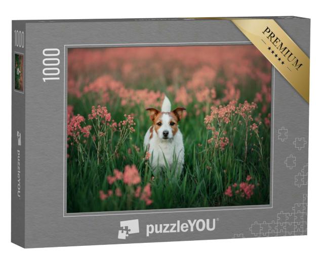Puzzle 1000 Teile „Neugieriger Jack Russell Terrier in einer Blumenwiese“