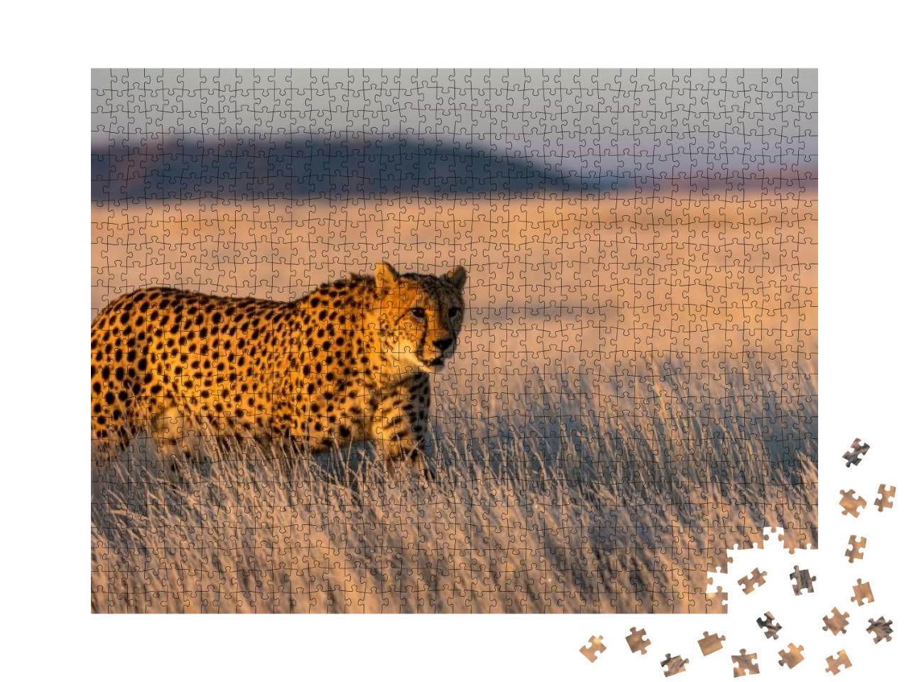 Puzzle 1000 Teile „Gepard durchstreift sein Revier“