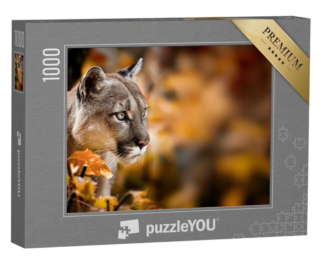 Puzzle 1000 Teile „Aufmerksamer Puma, auch bekannt als Berglöwe“