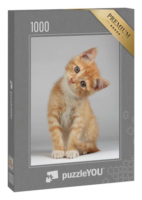 Puzzle 1000 Teile „Niedliches kleines Kätzchen“