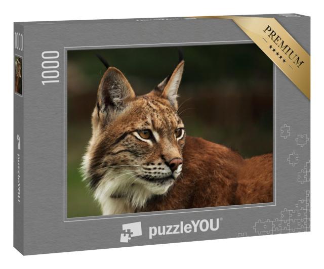 Puzzle 1000 Teile „Aufmerksamer Eurasischer Luchs“