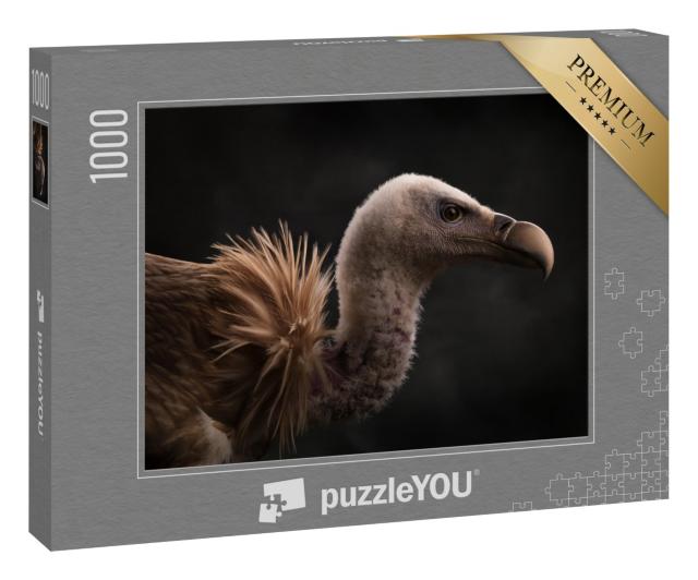 Puzzle 1000 Teile „Nahaufnahme Himalaya-Geier in Seitenansicht“