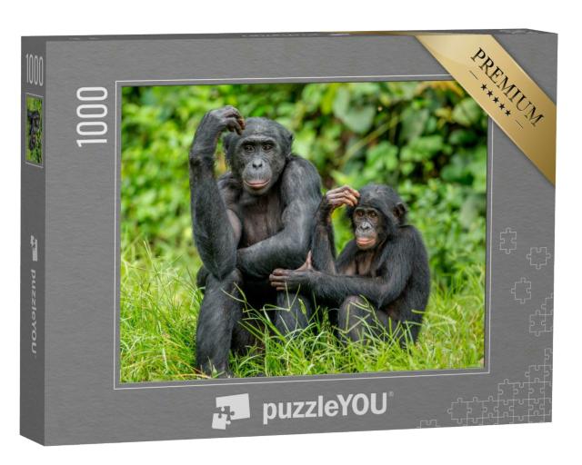 Puzzle 1000 Teile „Weiblicher Bonobo mit einem Baby, Kongo, Afrika“