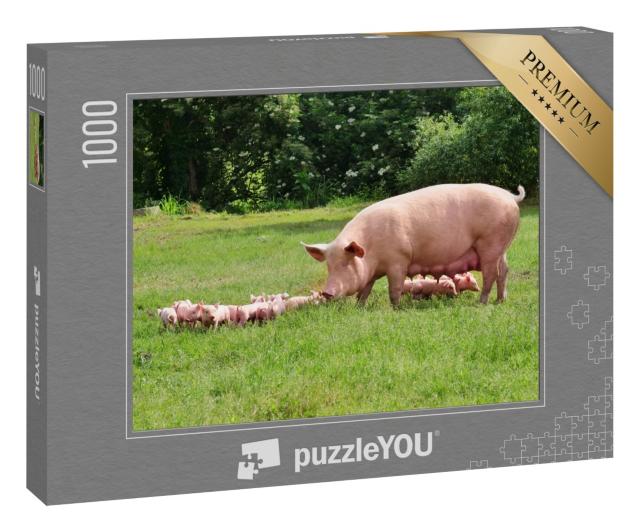 Puzzle 1000 Teile „Muttersau mit unzähligen Ferkeln auf einer grünen Wiese“