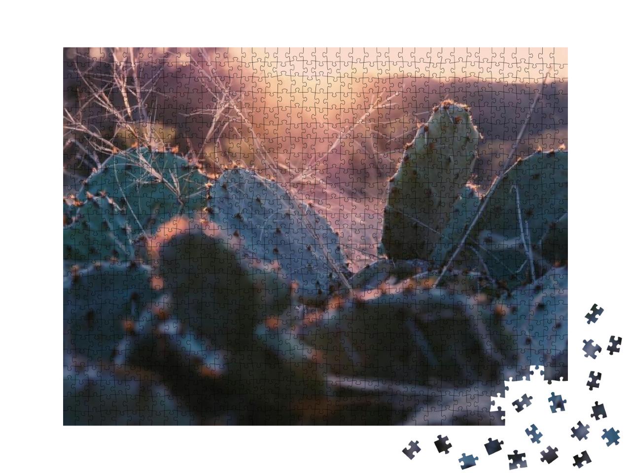 Puzzle 1000 Teile „Feigenkaktus im texanischen Sonnenuntergang“