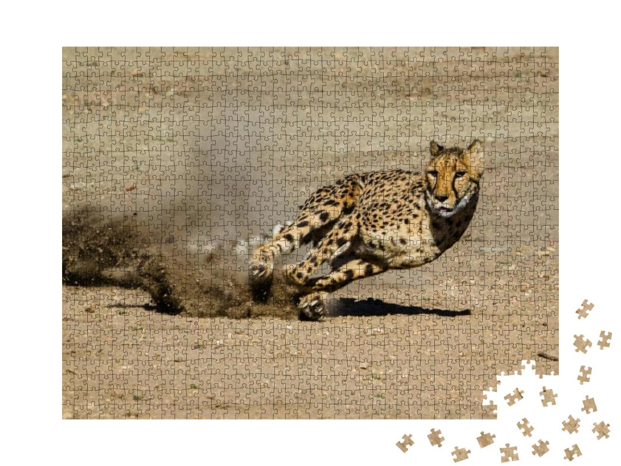 Puzzle 1000 Teile „Gepard: schnell und wendig“