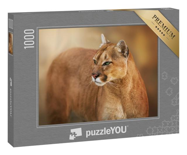 Puzzle 1000 Teile „Puma, anvisierender Blick aus grünen Augen“