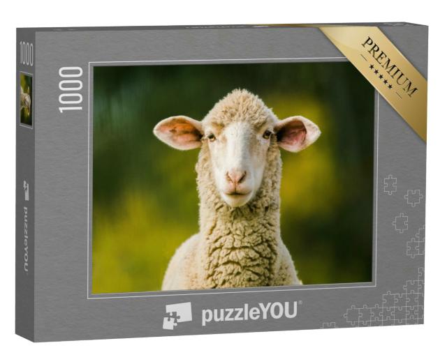 Puzzle 1000 Teile „Schaf schaut frontal in die Kamera auf grünem Hintergrund“