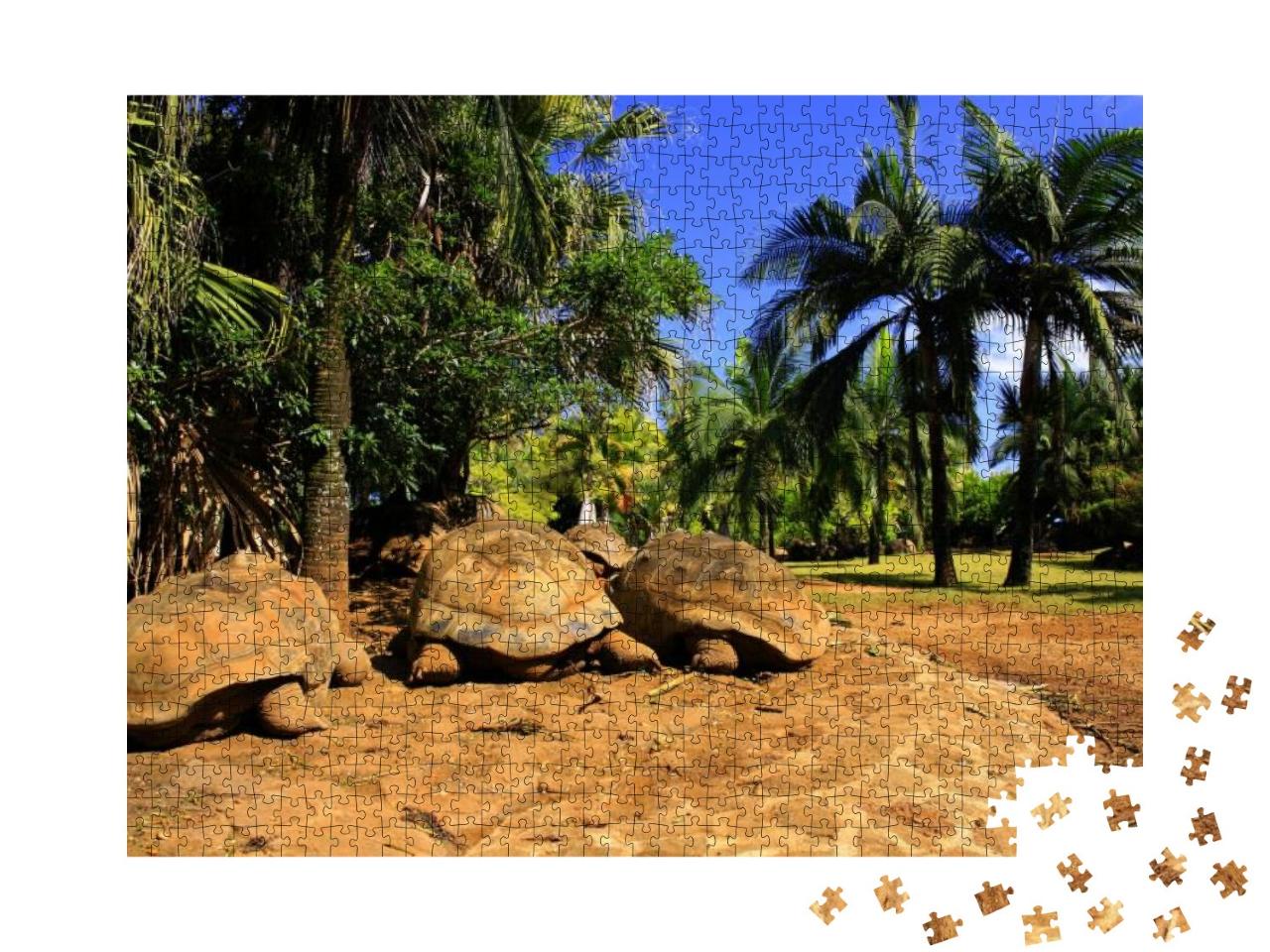 Puzzle 1000 Teile „Uralbe Riesenschildkröten auf Mauritius“