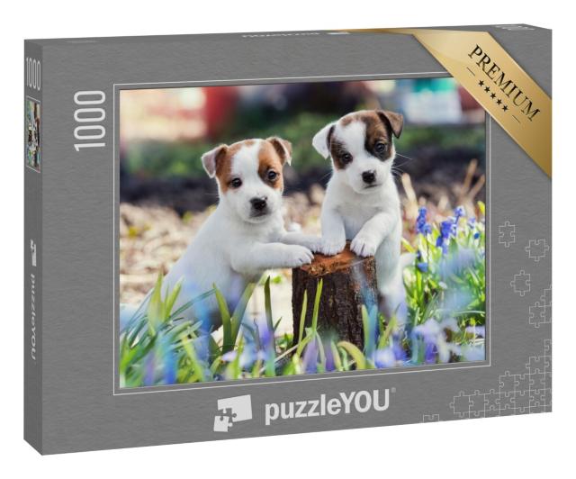 Puzzle 1000 Teile „Zwei süße Jack Russel Welpen“