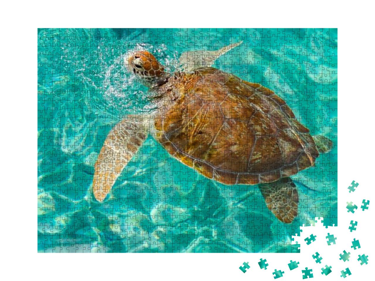 Puzzle 1000 Teile „Westpunt Schildkröte schwimmen Ansichten rund um die Karibikinsel Curacao“