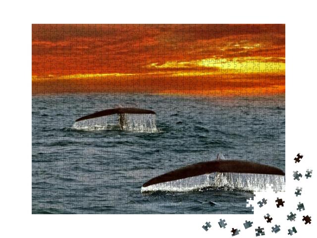 Puzzle 1000 Teile „Flossen von Blauwalen im Indischen Ozean, Sri Lanka“