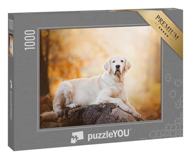 Puzzle 1000 Teile „Aufmerksamer Golden Retriever“