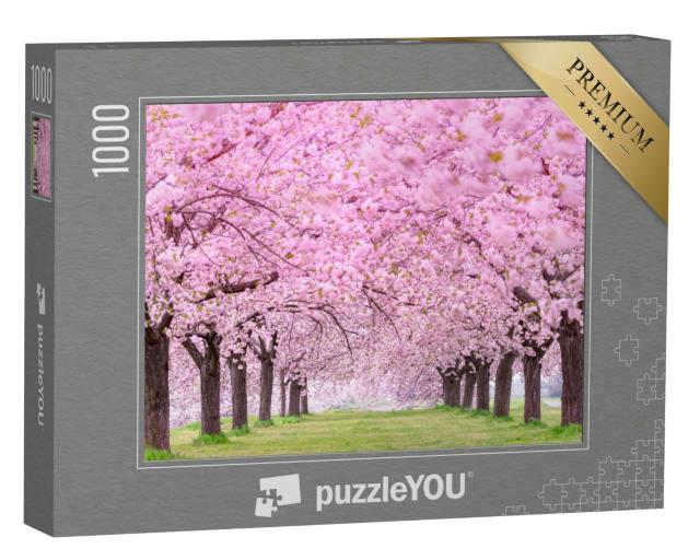 Puzzle 1000 Teile „Üppige Kirschblüte, Japan Obuse-machi, Präfektur Nagano“