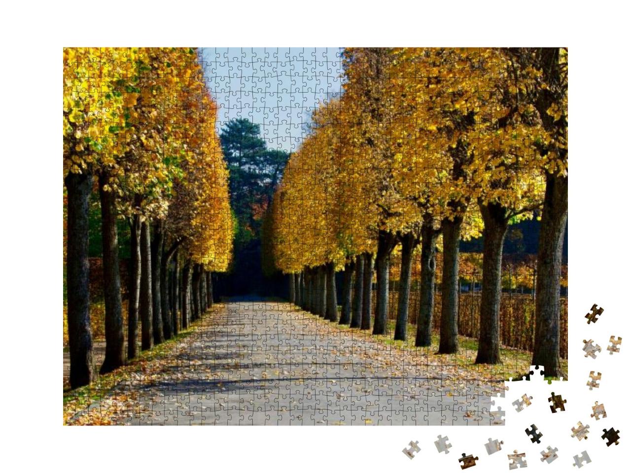 Puzzle 1000 Teile „Herbstlicher Blick auf eine Gasse der Eremitage Bayreuth, Deutschland“