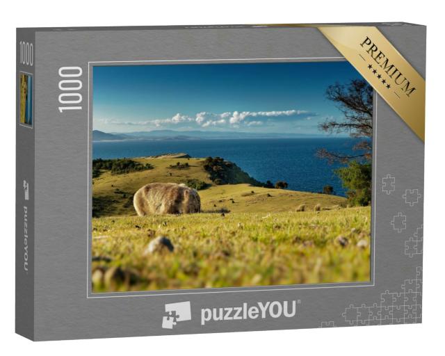 Puzzle 1000 Teile „Maria Island, Tasmanien: Ein Wombat sucht Nahrung, hinter ihm die Küste“