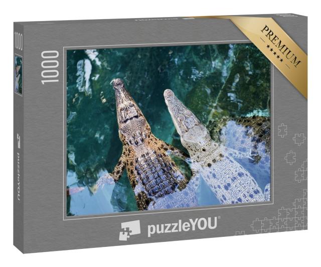Puzzle 1000 Teile „Junge australische Krokodile in Darwin, Australien.“