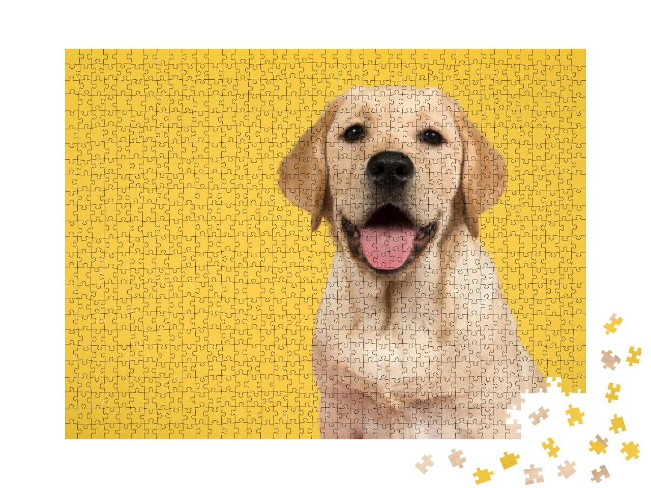 Puzzle 1000 Teile „Porträt eines goldenen Labrador-Retrievers“