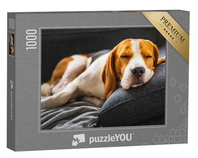 Puzzle 1000 Teile „Liebenswerter Beagle auf dem Sofa, Hund“