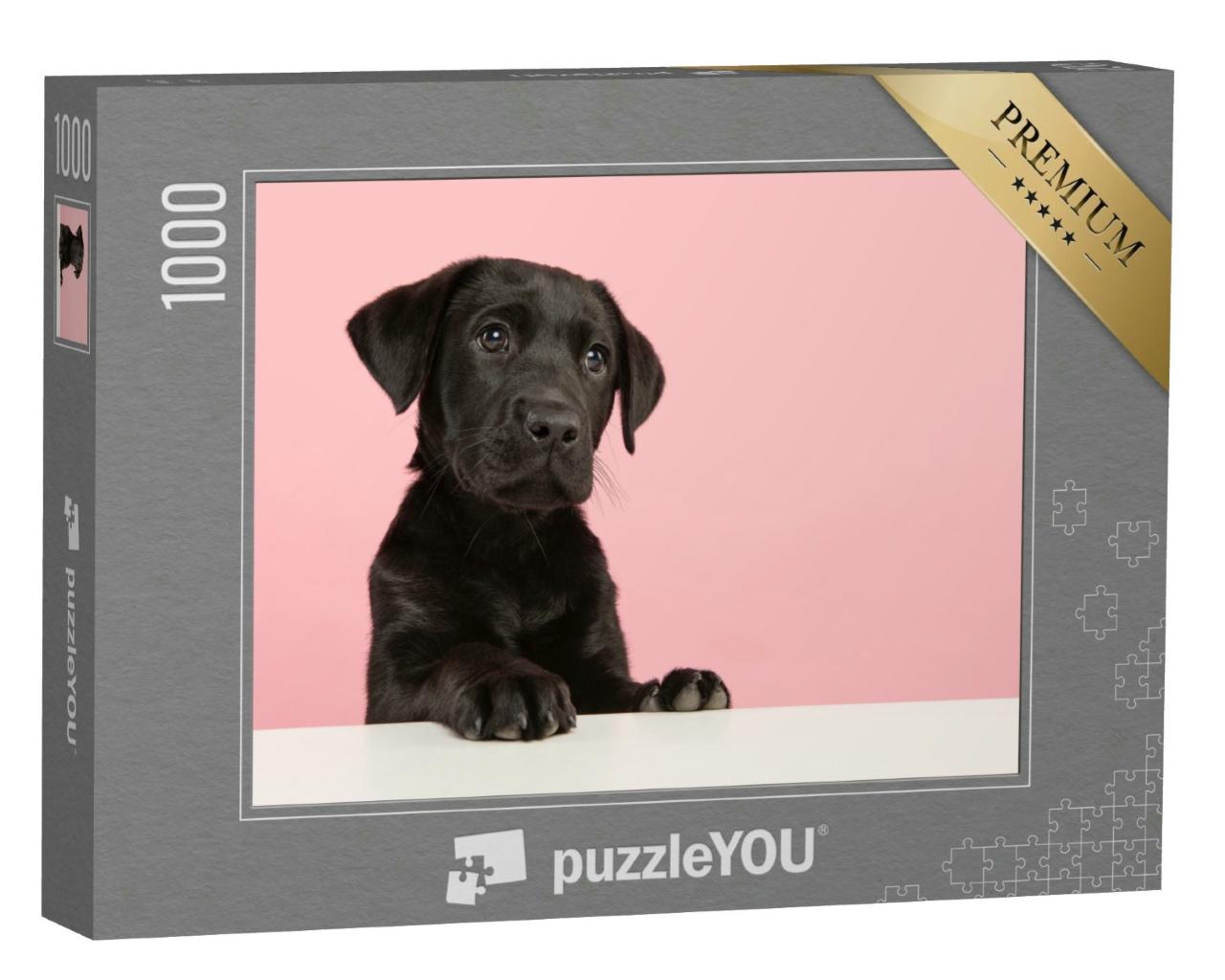 Puzzle 1000 Teile „Süßer schwarzer Labrador-Retriever-Welpe“
